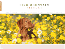 Tablet Screenshot of firemountainvizslas.com